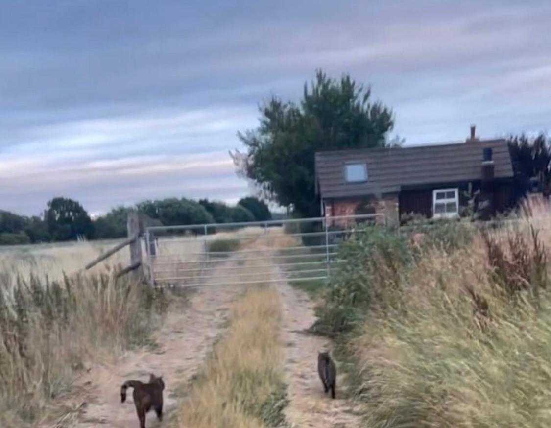 Lincoln Holiday Retreat Little House With Private Hot Tub Εξωτερικό φωτογραφία